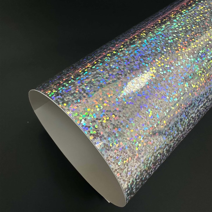 Feinyl beic modur holograffig -blinking